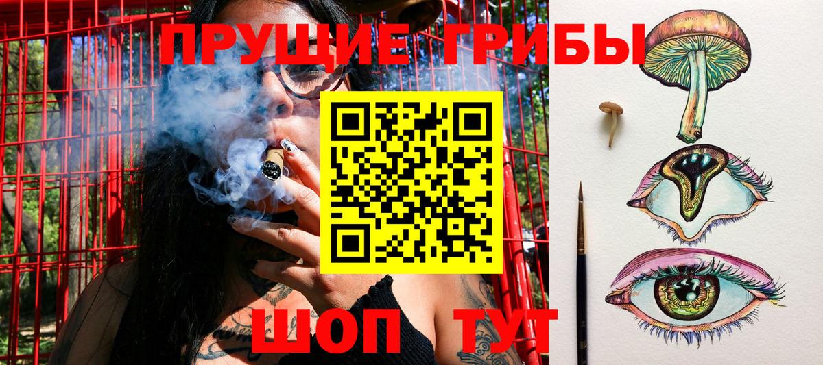 Галлюциногенные грибы Cubensis  Псилоцибиновые грибы мухоморы  Вход с VPN  Новокуйбышевск 