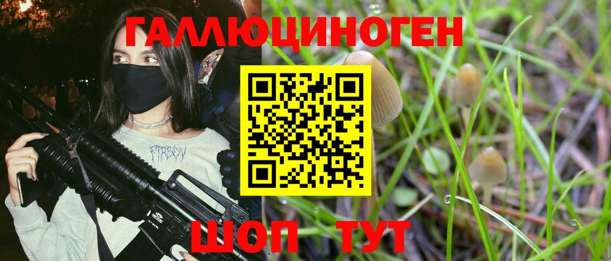 Галлюциногенные грибы Magic Shrooms Новокуйбышевск